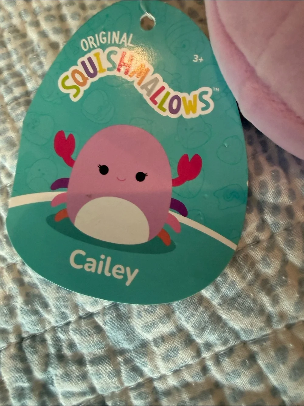 Squishmallows Assorted Plush Pet Toys - Pink, Green, Blue, Orange, Teal